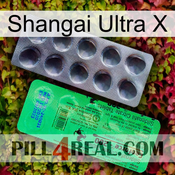 Shangai Ultra X new04.jpg